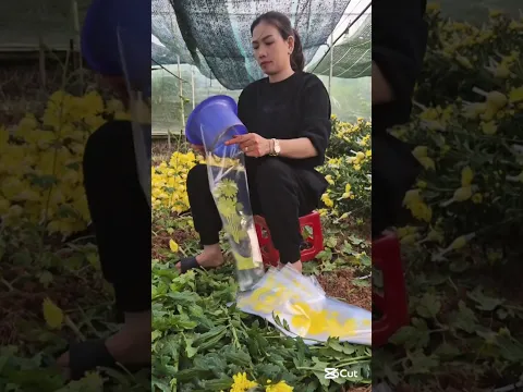Fast packing technique .#packing #plantlover #satisfyingvideos