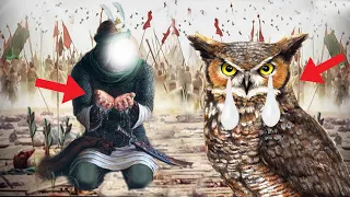 Imam Hussain Or Ullu Ka Waqia 🦉 Ullu Na Jab Imam Hussain Ko Shaheed Hotay Hovay Dekha To...😭😭