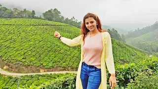 #केरला मुन्नार का खूबसूरत चाय बागान जानिए चाय की असली सच्चाई Munnar Tea Gardan real truth of tea