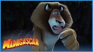 DreamWorks Madagascar | Arrive On The Island | Madagascar Movie Clip