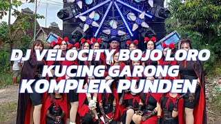 DJ VELOCITY BOJO LORO X KUCING GARONG PEMUDA KOMPLEK PUNDEN RONGGO JAKEN FEAT AURA MUSIK