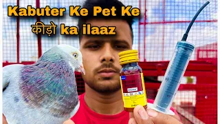 कबूतर के पेट के कीड़ो का इलाज 😲|| Pigeons Deworming || #pigeon #reaction #video #viralvideo 