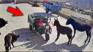 لو لم تصورها كاميرات المراقبة لما صدقها أحد !! انظرو ما حدث