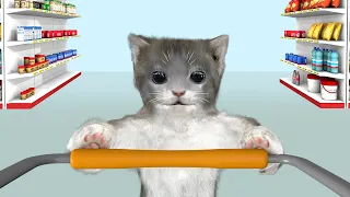 Cat in the store