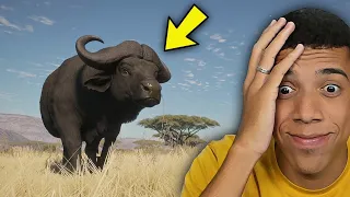 OS BÚFALOS QUEREM ACABAR COMIGO! ( ME ATACARAM ) - The Hunter