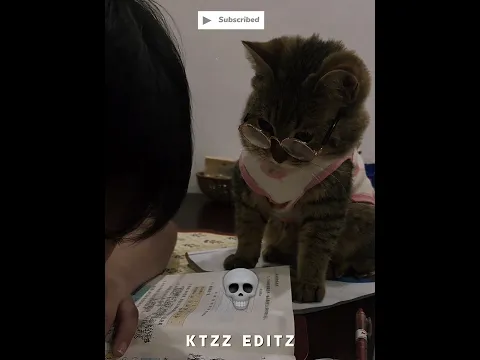 The Smartest Cat Ever 💀