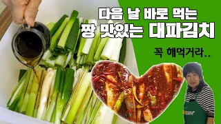 [Eng] 간단한데 짱 맛있는 대파김치!!!!