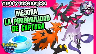 🦅 ASÍ PUEDES AUMENTAR LA PROBABILIDAD DE CAPTURA (Y APARICIÓN) DE LAS AVES DE GALAR EN POKÉMON GO