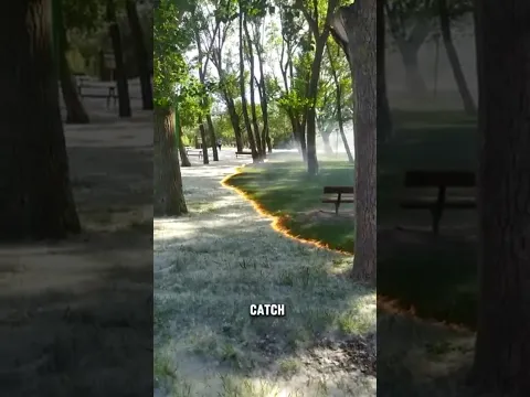 Burning Cottonwood Fluff