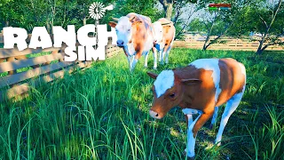 OS BEZERROS NASCERAM -  RANCH SIMULATOR