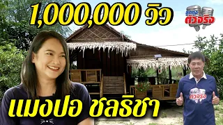 แมงปอ ชลธิชา l ลูกทุ่งตัวจริง l วิทยา ศุภพรโอภาส