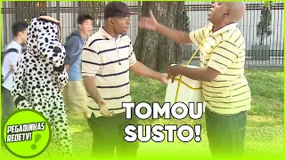 LATÃO SURPRESA: A 'CERVEJA DO LATIDO CANINO'
