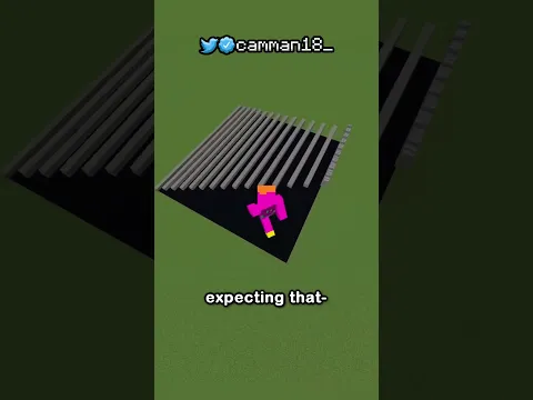 Best Minecraft Optical Illusions