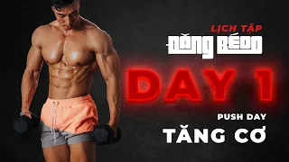 [LỊCH TẬP DANGBEOO] NGÀY 1: PUSH DAY ( TĂNG CƠ )