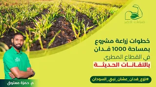 ضراعك أخضر 2 - الحلقة 19 - التخطيط لزراعة 1000 فدان بالتقانات الحديثة