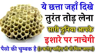 जहाँ मिले यह मधुमख्ही का छत्ता तोड़ लेना, बहुत फायदा मिलेगा | Desi Totke | Spiritual Tree