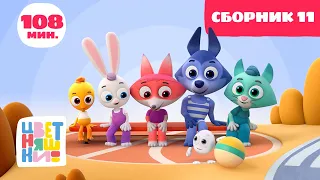 Цветняшки — Большой сборник серий (Сборник 11: серии 1-25 подряд)