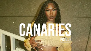 [FREE] Aya Nakamura Type Beat 2023 'Canaries' Afro Beats Instrumental 2023 (Prod.JH)