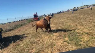 🙆🏻‍♂️HEMOS PASADO MIEDO EN ESTE CONTENEDOR😅 Venia directo a nosotros 💣 Pozo De Guadalajara