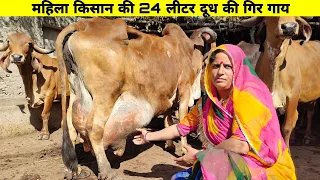 24 लीटर दूध की गिर गायों का डेयरी फार्म👍 रेंडी गायों को बदला गिर गायों मे  Best #Gir and Rendi Breed