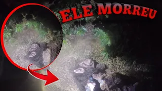 URGENTE-FINALIZAMOS O LOBISOMEM!!!série