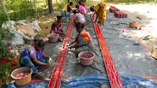Longest Wala Cracker Making in Fireworks Factory | Amazing Skills