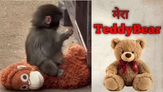 Cute बच्चा और Teddy bear 🧸 | Animals story | Professor Nitin 