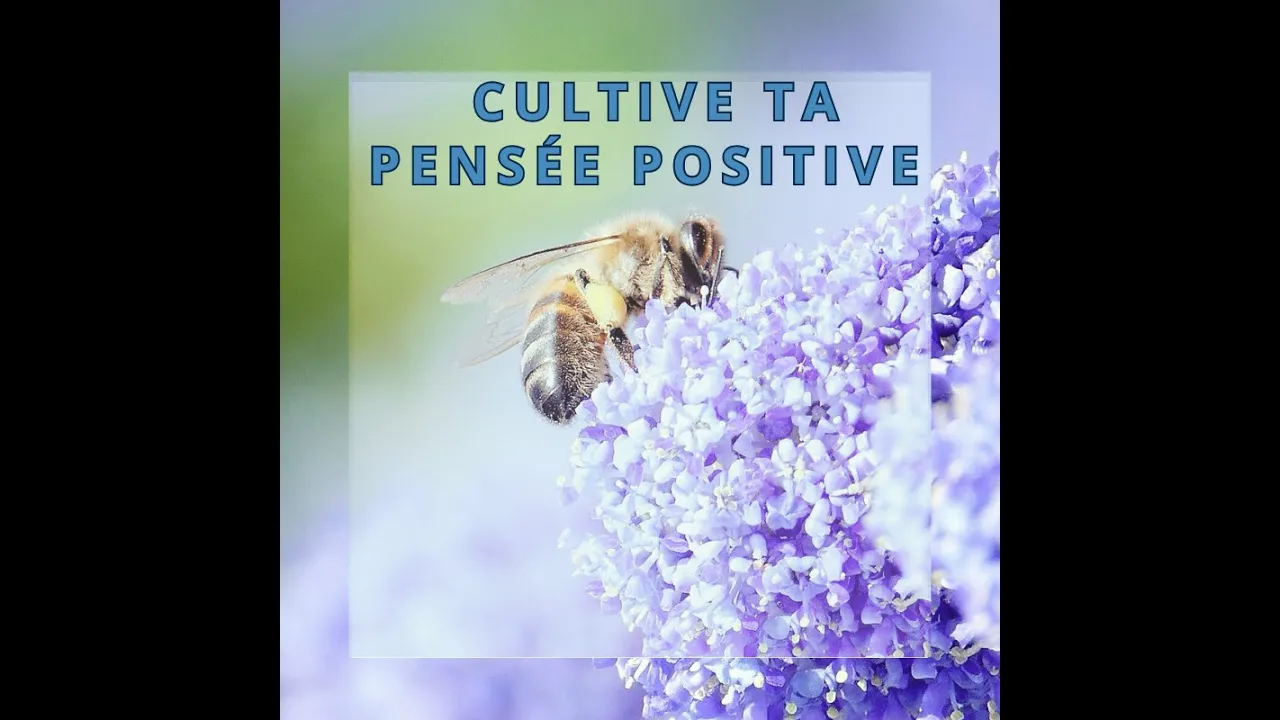 Miniature de la vidéo YouTube: La pensée positive à l'aide de la sophrologie
