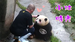 《熊貓早晚安》奶爸偷偷給“和花”“開小灶”！ | iPanda熊貓頻道