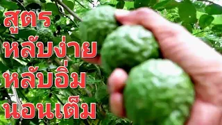 นอนไม่หลับ นอนไม่อิ่ม หลับยาก อ่อนเพลีย