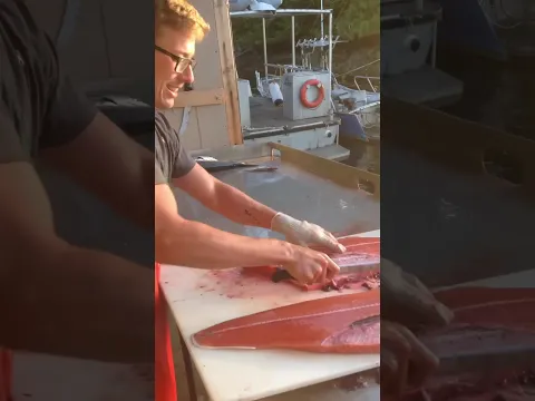 Pemotong Ikan Salmon Tercepat