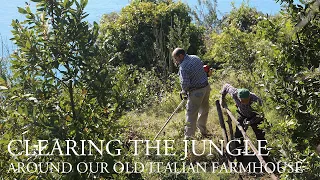 Clearing the jungle around our old Italian farmhouse (#7)