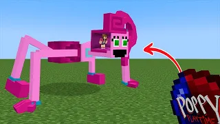Entrei nos mobs do POPPY PLAYTIME...