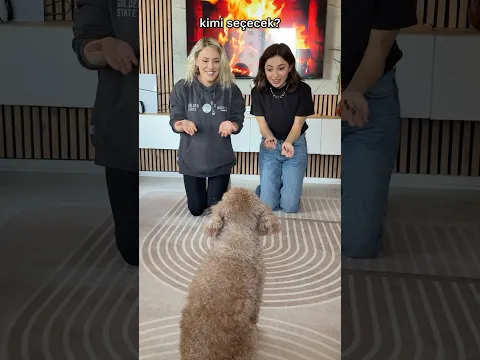 barbie’nin seçimi 💖💖