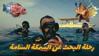 مغامرة و رحلة البحث عن سمكة الديك ( lion fish )