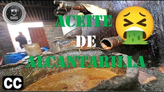 10 Casos de alimentos adulterados que engañaron a todos
