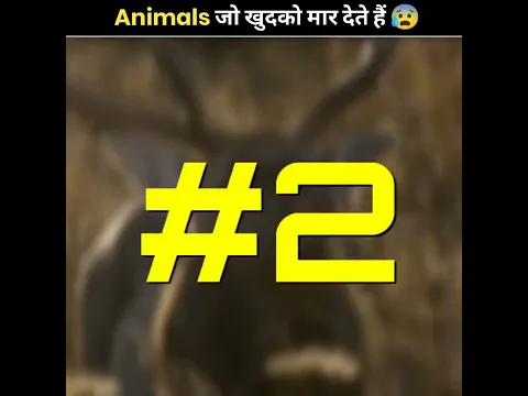 Animals That Kill Themselves 😰 | The Fact | #shorts #ytshorts