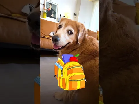 Alex ने 🎒 फाड़ डाला 😂