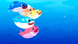 Baby Shark Doo Doo Nursery Rhyme