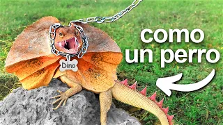 Conseguí un Dinosaurio de Mascota (casi)