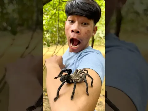 SPIDER Survival Hacks with PEPPER for Wilderness Emergency