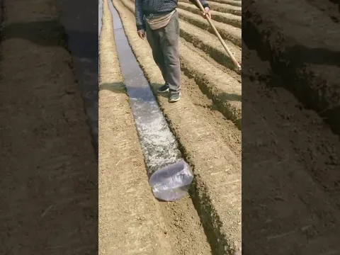 👍