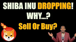 SHIB INU COIN Dropping!! | AMC | SOL | AMP