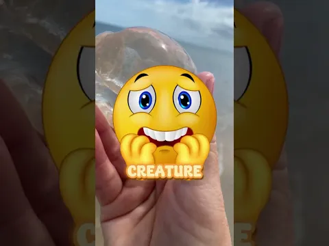IF YOU FIND THIS ON THE BEACH, DON'T TOUCH IT!