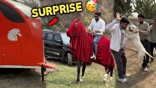 Is All Rounder Ghode Ko Le Kar Mai पहाड़ी Par Aagya 🤩Socha Nahi Tha Dogo Aisa हमला Karegi 😱