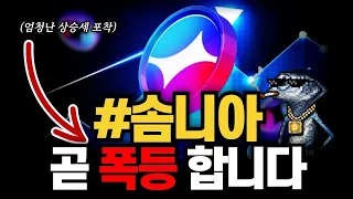 솜니아 곧 폭등합니다! 세력 매집이 보이는 구간에서 상승이 터진다 #솜니아#솜니아폭등