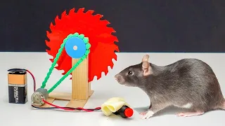 How To Make Mouse Catcher