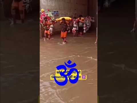 1 2 3 4 Kawadiye Aagye haridwar | 1 2 3 4 kawadiye aage haridwar | #mahadev #shortsfeed #dakkawad
