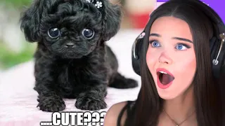 Memes That Don't Give You a Warning...