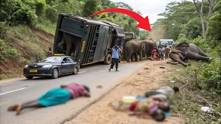 Wild Elephants Block the Highway and Attack Vehicles |Real Danger Caught on Camera #elephantattacks